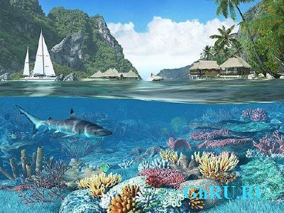 Caribbean Islands 3D Screensaver 1.1.0.4