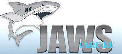 JAWS 13 Build 977 [] (x86/x64) + Crack (  )