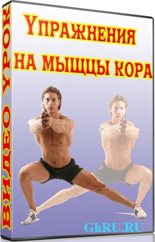     (2012) DVDRip
