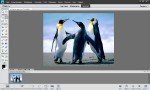Adobe Photoshop Elements v.11 LS15 [2012, Multi+ ] + Serial