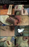 Woodcarving Basics with David Sabol  (2008 / /   / DVDRip)