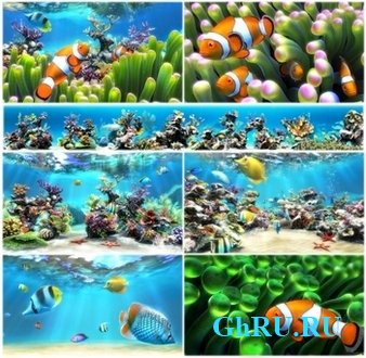 Sim Aquarium 3 Premium [En] + Portable by proirsoft