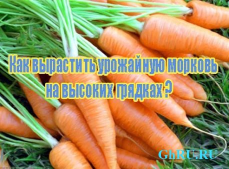 Как вырастить урожайную морковь на высоких грядках (2013) DVDRip