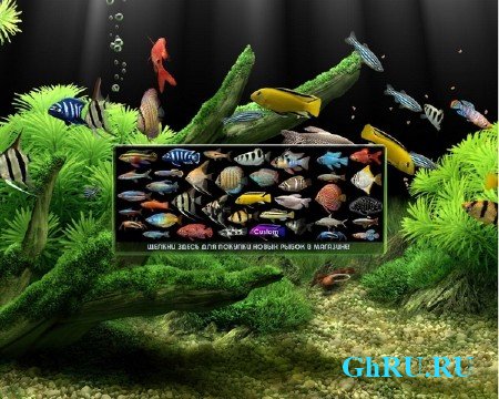  Dream Aquarium Screensaver 1.2415 x86/x64 Rus