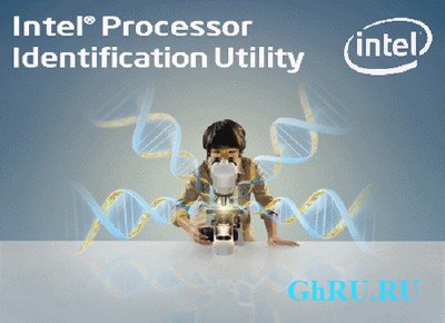 Intel Processor Identification Utility 5.50