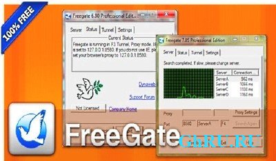 FreeGate Professional 7.60 Portable