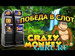  Crazy Monkey       